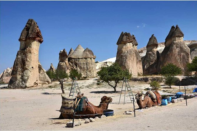 Full-Day Cappadocia Tour with Goreme Open Air Museum and Fairy Chimneys - Morning pickup and the minivan ride you will actually appreciate