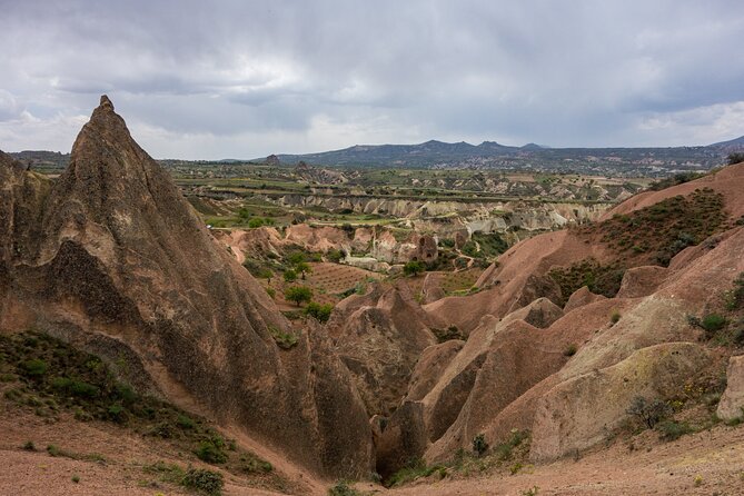 Gems of Cappadocia Private Tour - Devrent Valley: imagination shapes in pink tones