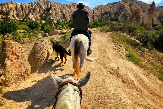Horse Riding in the Valleys of Cappadocia - Horses and handling: what beginner riders should expect