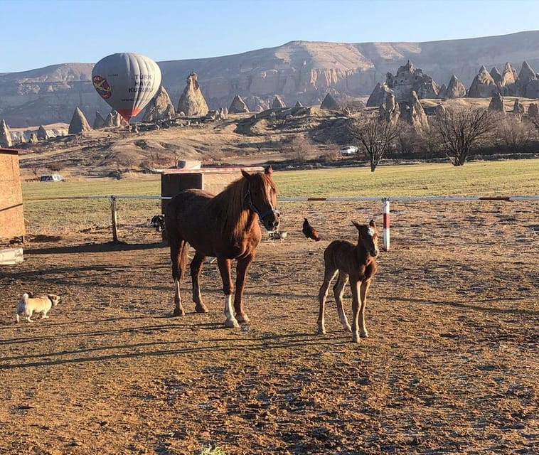 Istanbul: 2-Day Trip to Cappadocia with Flights & Lunchs - Price and Value at $617 Per Person
