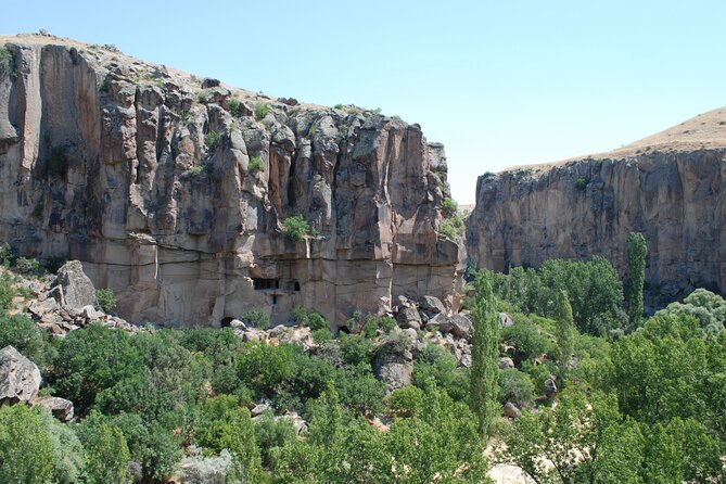 Private Green Tour - Should you book this private Green Tour?