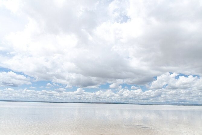 Private Salt Lake Tour - Safety, Hospitality, and the Driver-Heavy Experience Style