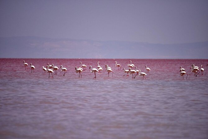 Private Salt Lake Tour - What to Bring for a Comfortable Lake Tuz Stop