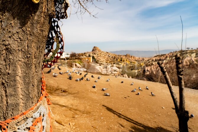 Red and Green Combination Tour Mix Tour - Timing, transport, and how to plan your day in Göreme