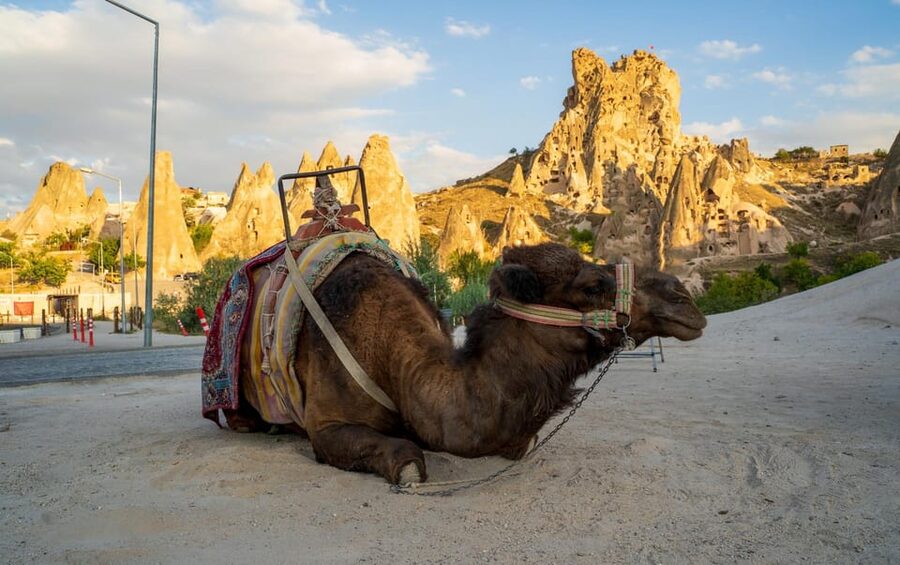 Sunrise and Sunset Camel Ride with Stunning Cappadocia Views - What to bring, what to wear, and what to expect from the guide