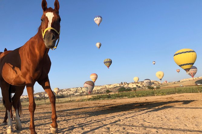 Sunrise Horsebackriding Tour in Cappadocia - Hot air balloons: what you should expect when the sky is working