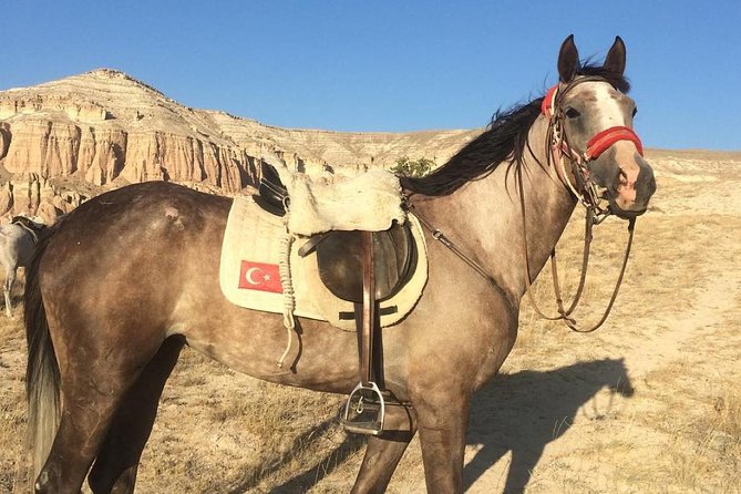 Sunrise Horsebackriding Tour in Cappadocia - How long is 1 hour 30 minutes, and what the flow feels like
