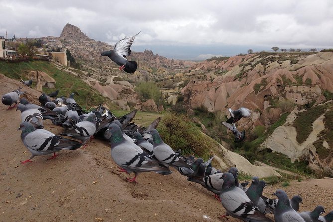 Tour of Highlights of Cappadocia with Lunch - Avanos and Sultans Seramik: kick-wheel pottery demo in action