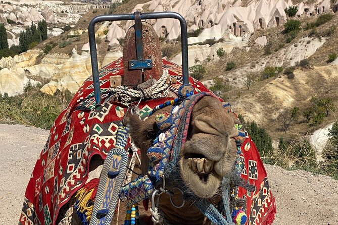 Ultimate Cappadocia Red Tour - Pasabag: the long stop for famous fairy chimneys